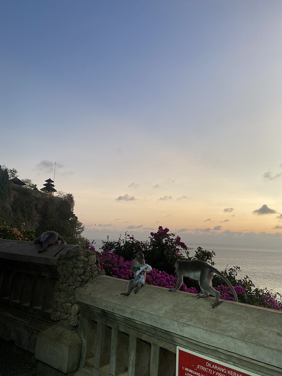 Bali