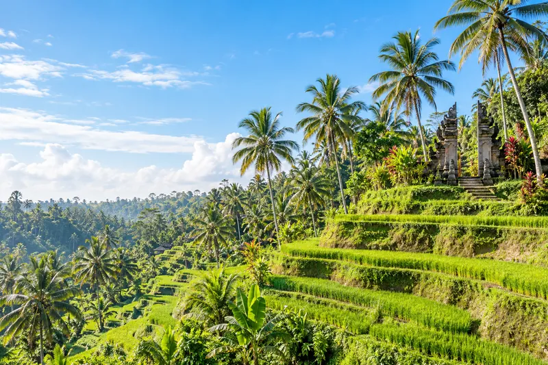 Bali & Indonesien